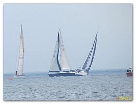 Regata_07.2017 (6)